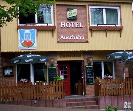 Auerhahn Hotel Bad Suderode Kültér fotó