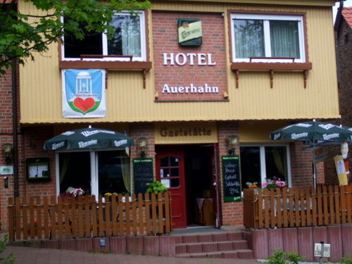 Auerhahn Hotel Bad Suderode Kültér fotó
